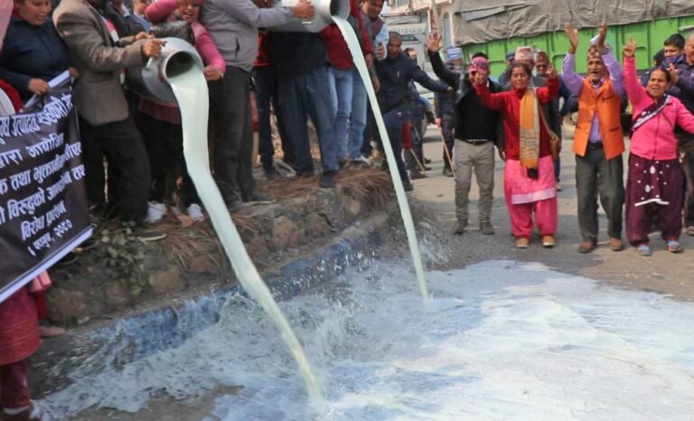 chitwan-sadak-ma-dudh-pokhdai-