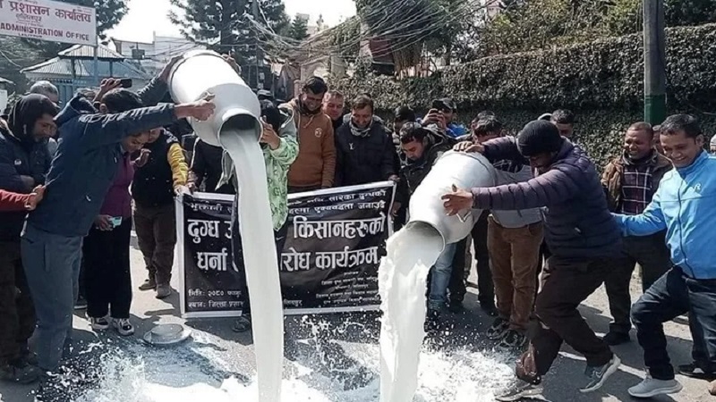 Milk KIsan