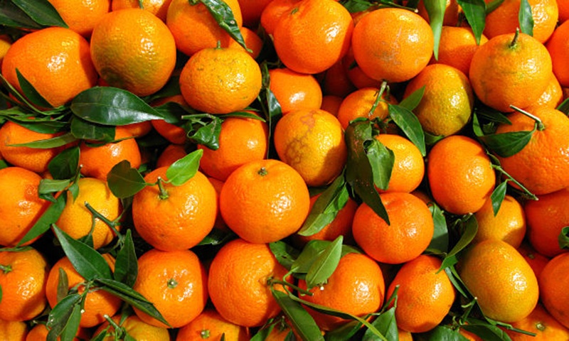 suntala-Orange