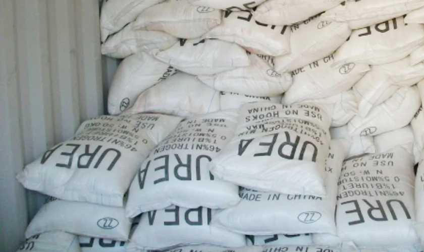 Urea Mal