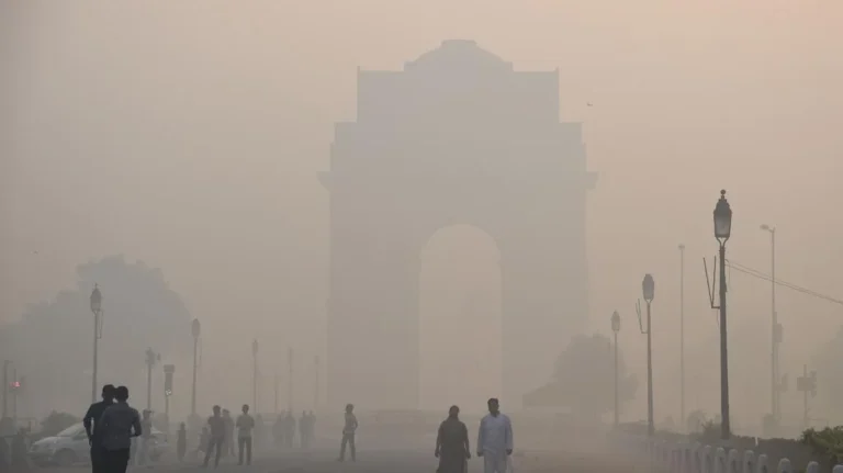 delhi