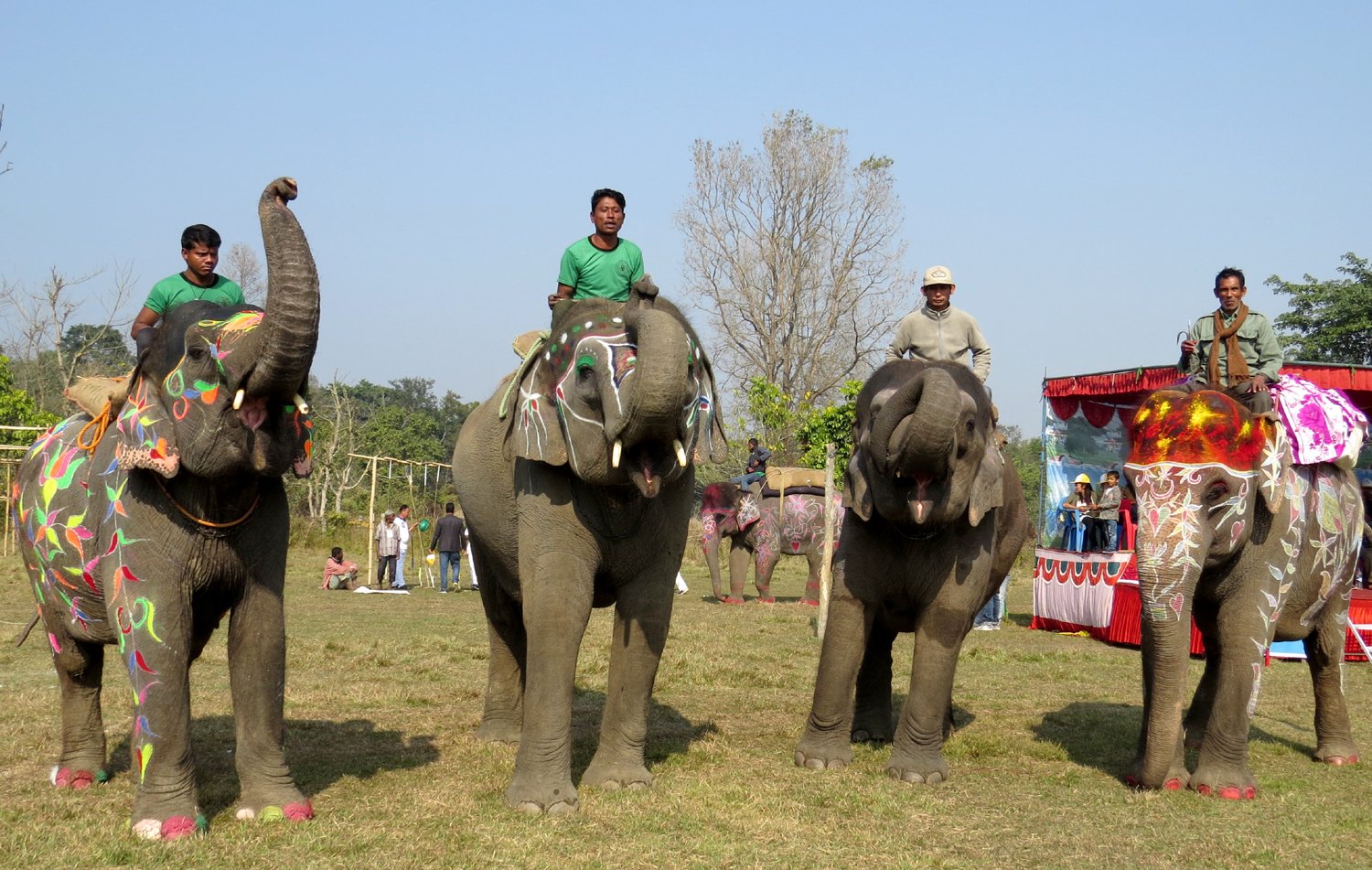 Elephant-day-celebrate.---