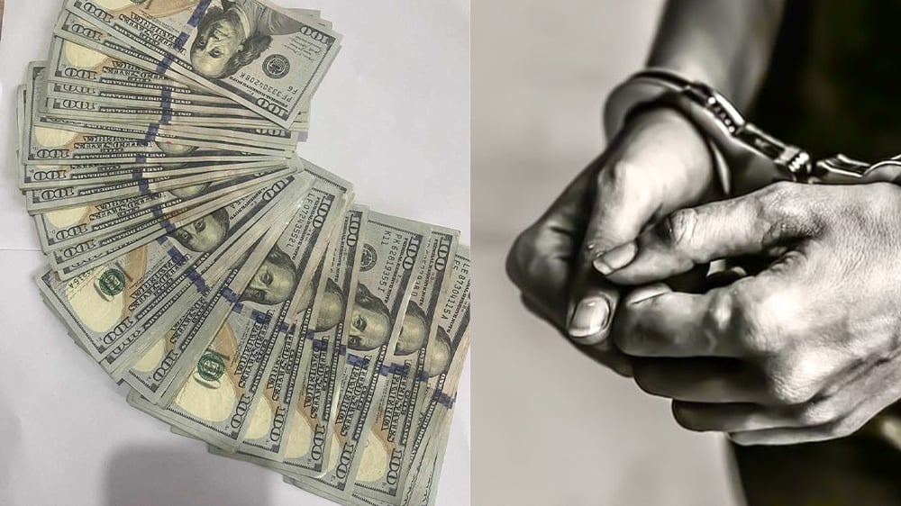 american-dollar