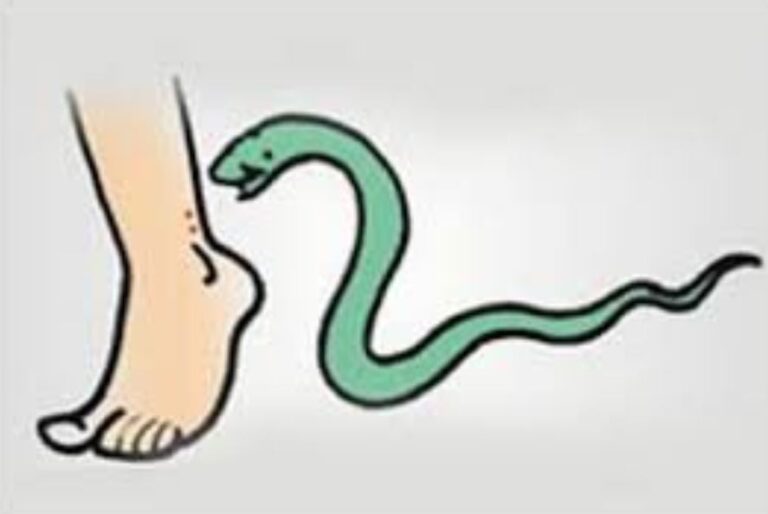 snake-poisen