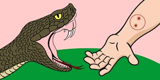 snake