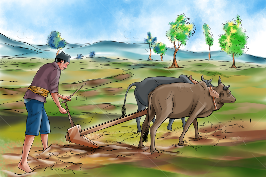 kisan