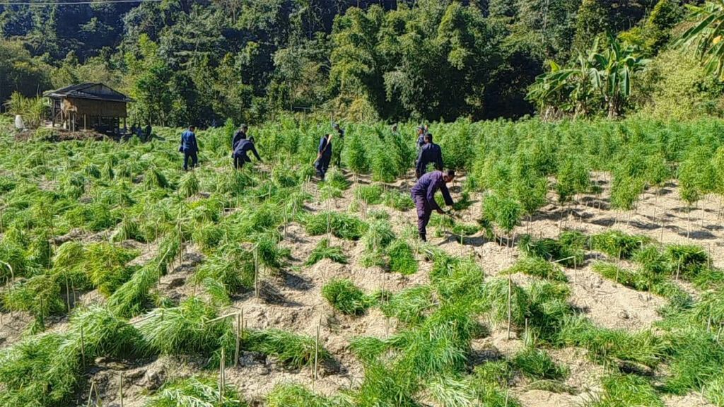 ganja-Fadani-at-sarlahi-2