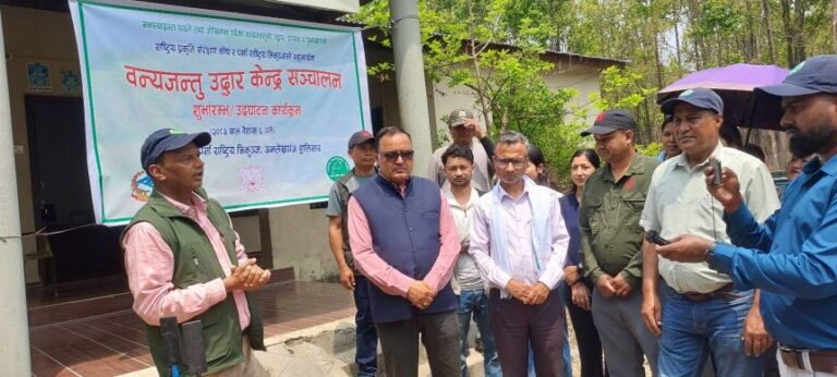 pr-12-860x387-1-768x346