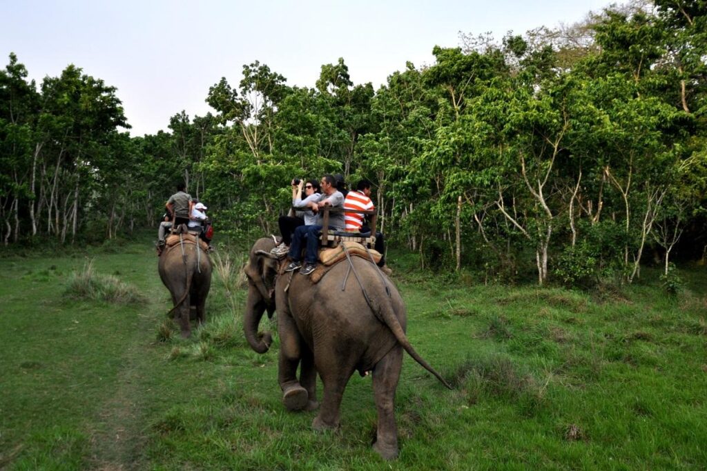 chitwan safari