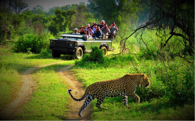 jeepsafari chitwan
